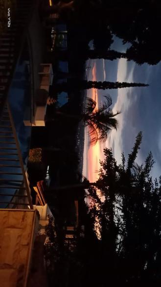 Soul Lodge Villa Lovina Banjar  Exterior photo
